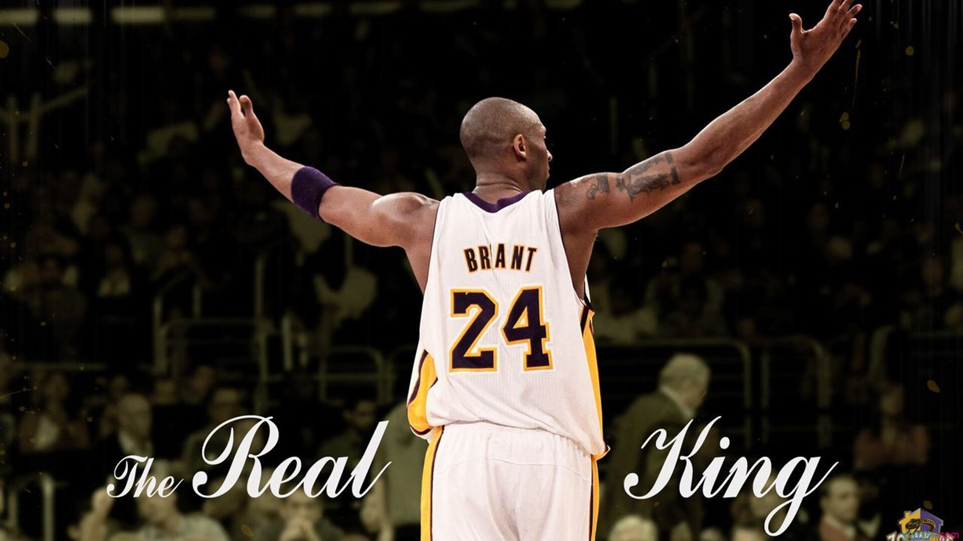 联合杯力克澳网，穆雷统治全场，见证网坛新格局的诞生